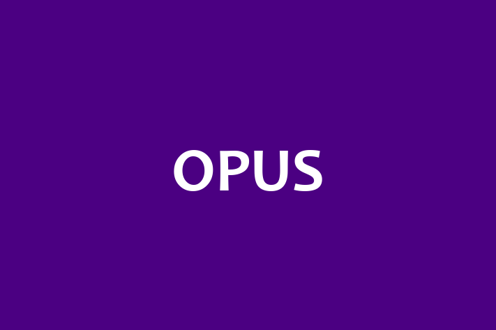 Technology Company OPUS