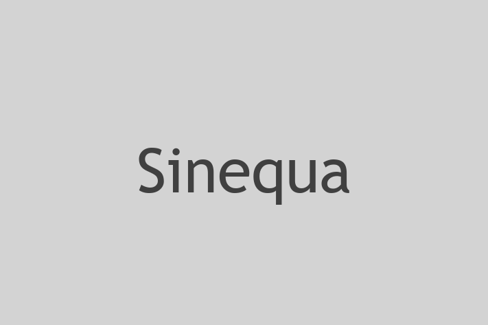 Application Development Company Sinequa