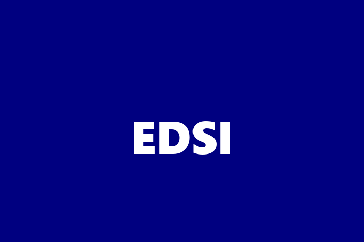 IT Company EDSI