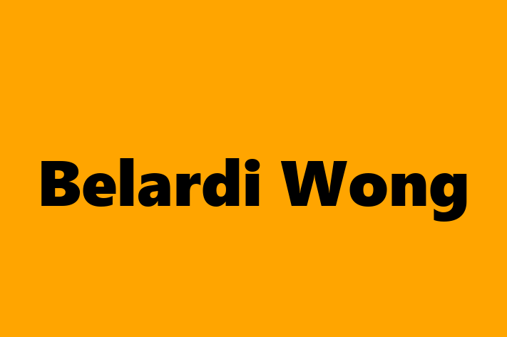 Software Firm Belardi Wong