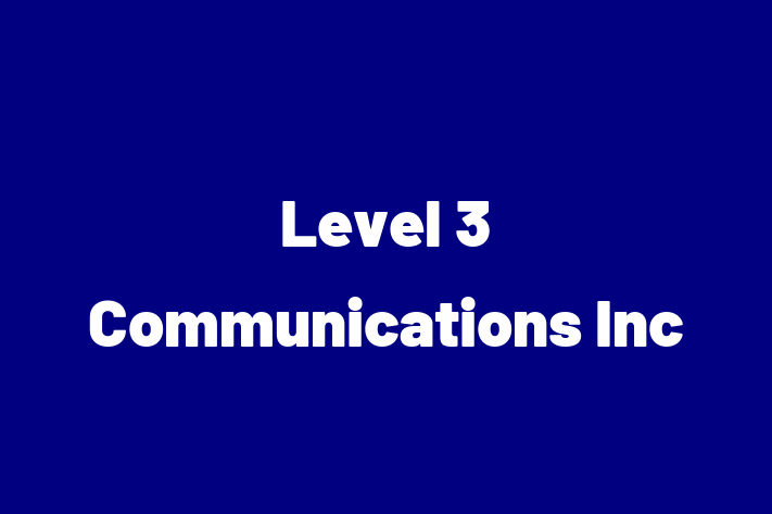 Software Solutions Provider Level 3 Communications Inc