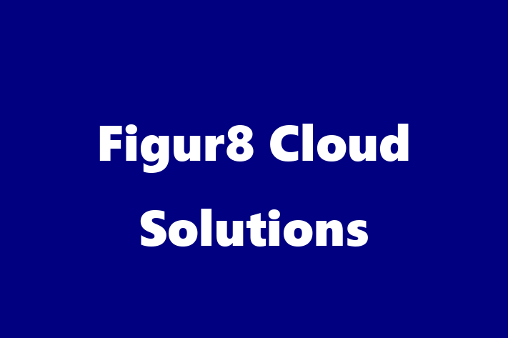 Digital Solutions Provider Figur8 Cloud Solutions