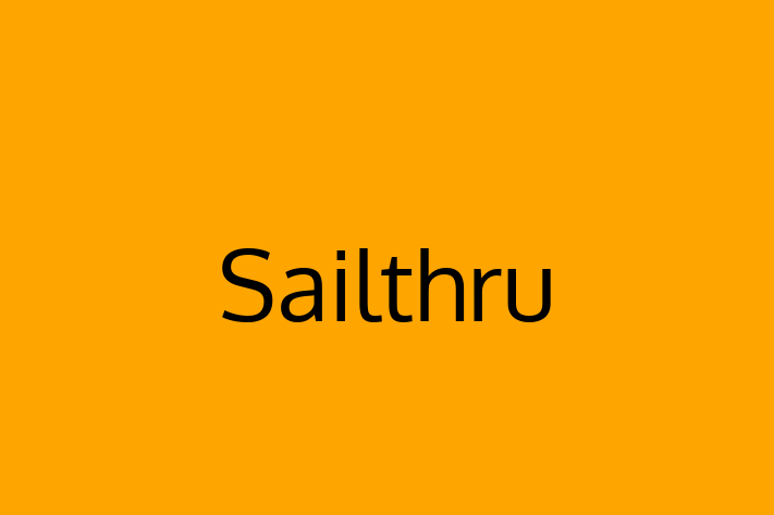 Technology Solutions Firm Sailthru