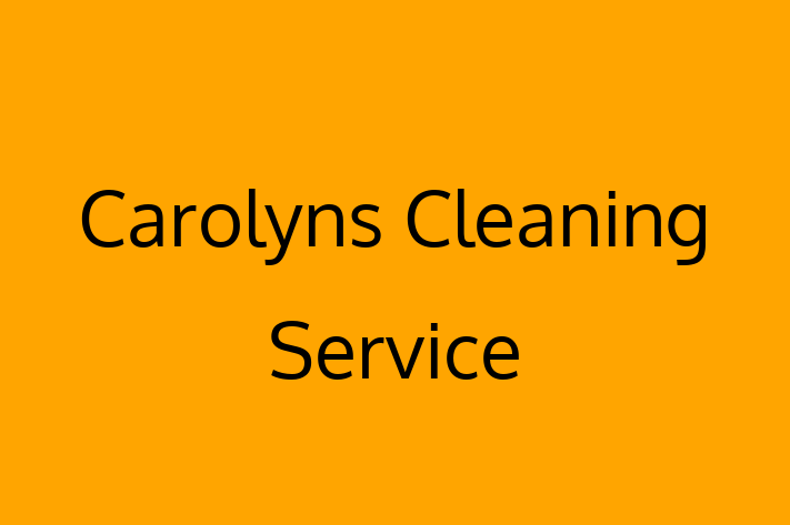 Home Maintenance Carolyns Cleaning Service