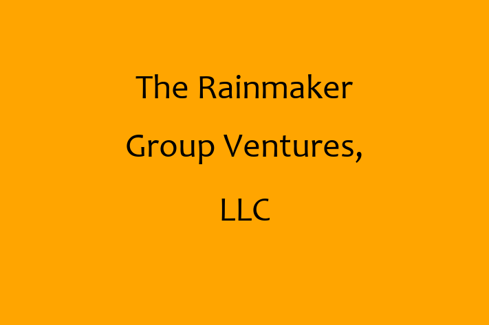 Software Consultancy The Rainmaker Group Ventures LLC