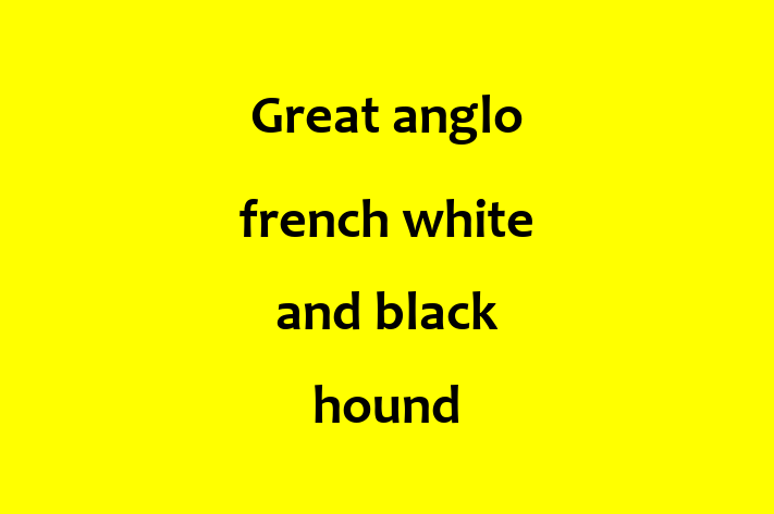 Great anglo french white and black hound Dog for Sale in Rialto