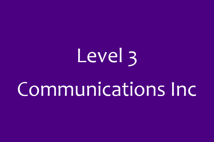 Technology Solutions Firm Level 3 Communications Inc