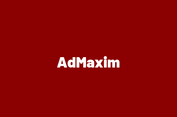 Technology Company AdMaxim