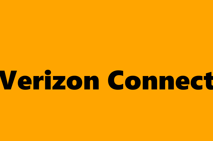 Software Consultancy Verizon Connect