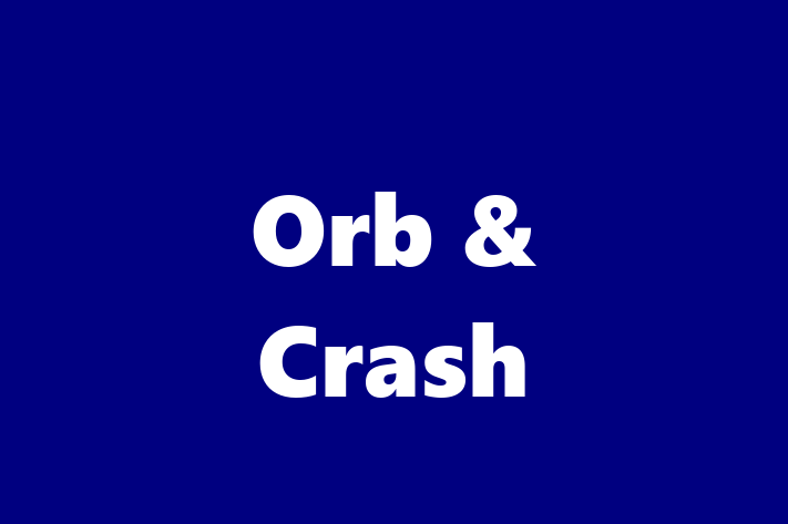 Software Firm Orb Crash