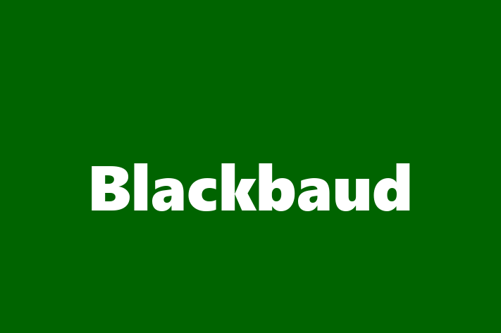 Software Development Company Blackbaud