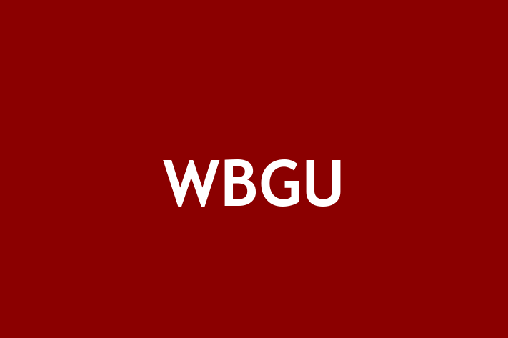 Technology Solutions Firm WBGU