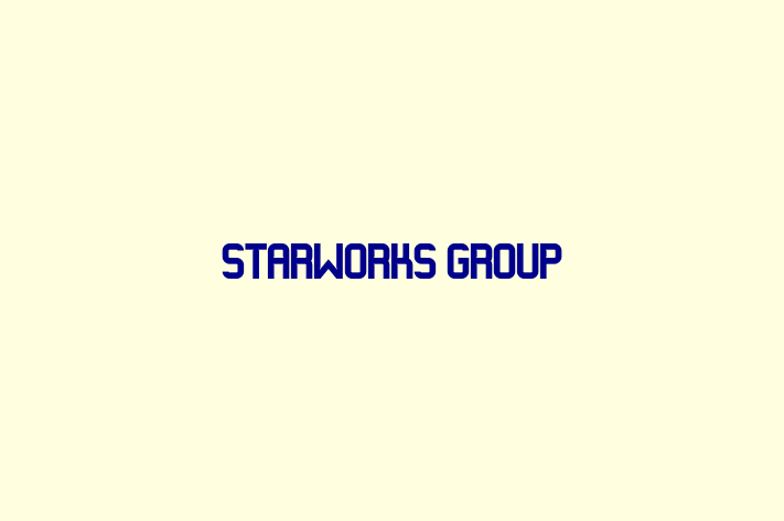 Software Engineering Company STARWORKS Group