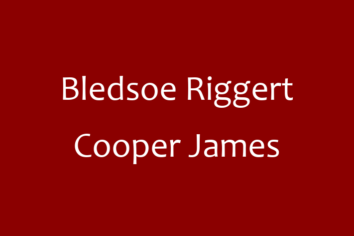 Software Services Company Bledsoe Riggert Cooper James