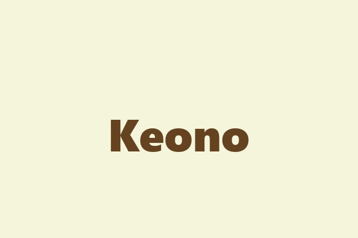 Application Development Company Keono