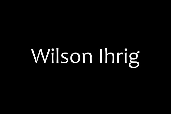 Application Development Company Wilson Ihrig