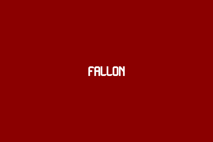 Application Development Company Fallon