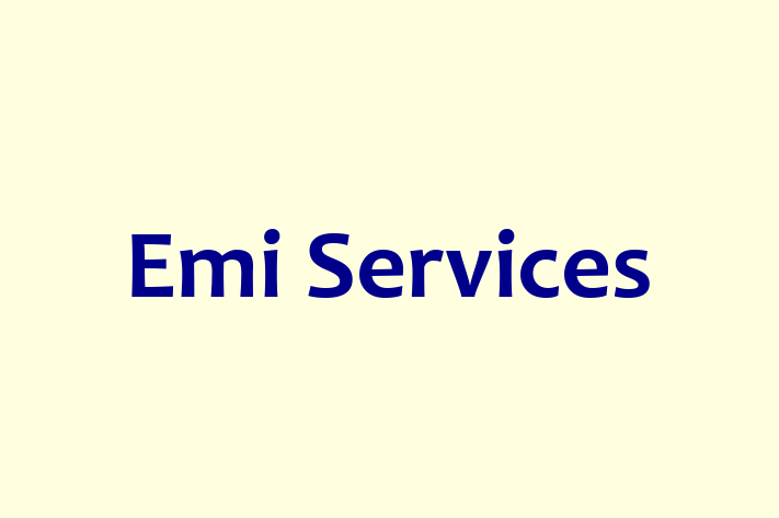 IT Company Emi Services