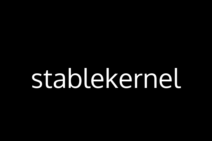 Technology Solutions Firm stablekernel