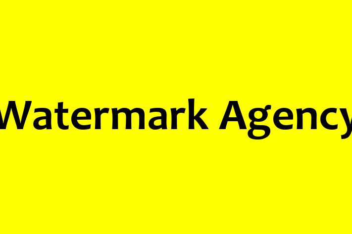 Tech Solutions Company Watermark Agency