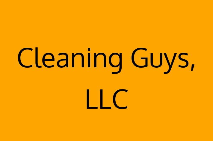 Technology Company Cleaning Guys LLC