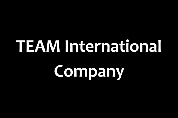 Technology Solutions Firm TEAM International Company