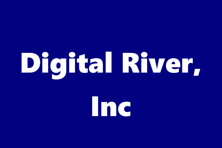 Software Solutions Provider Digital River Inc