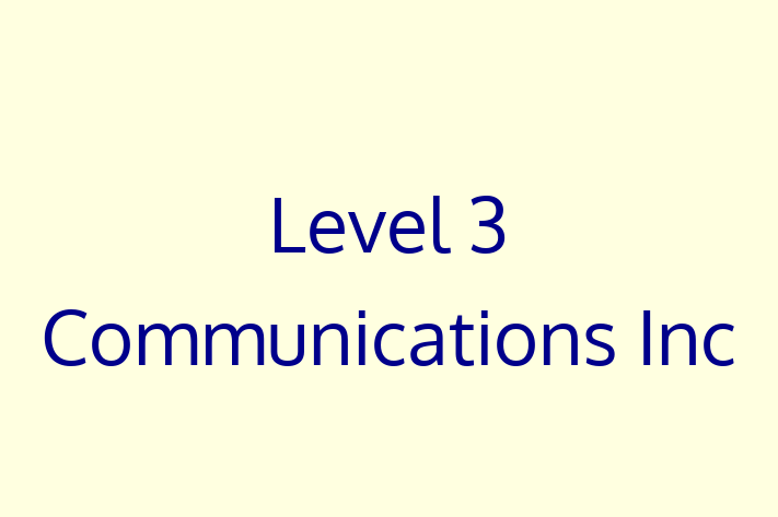 Digital Solutions Provider Level 3 Communications Inc