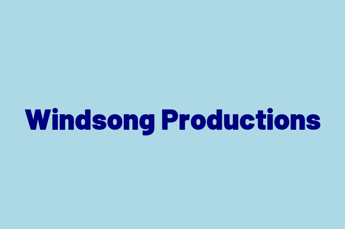 Software Consultancy Windsong Productions