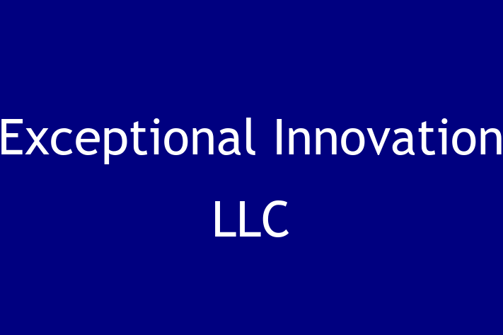 IT Company Exceptional Innovation LLC