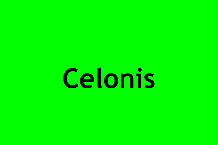 Technology Company Celonis