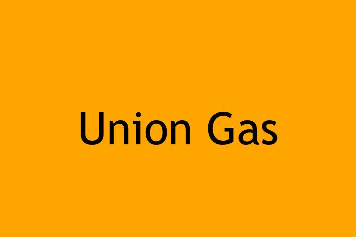 Digital Solutions Provider Union Gas