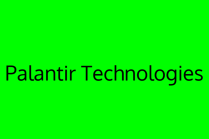 Technology Solutions Firm Palantir Technologies