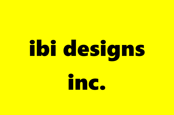 IT Company ibi designs inc.