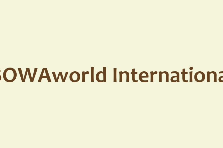 IT Company BOWAworld International