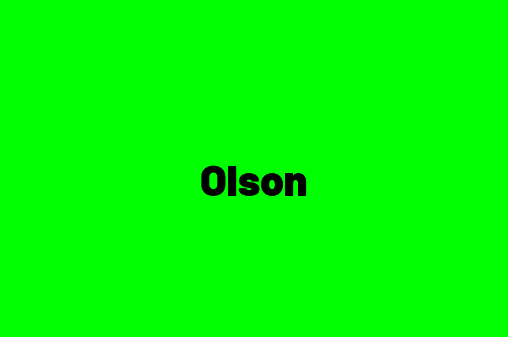 IT Company Olson