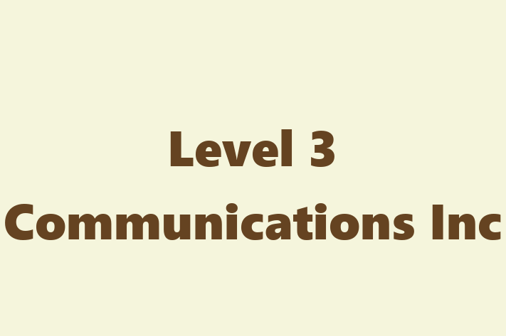 Application Development Company Level 3 Communications Inc