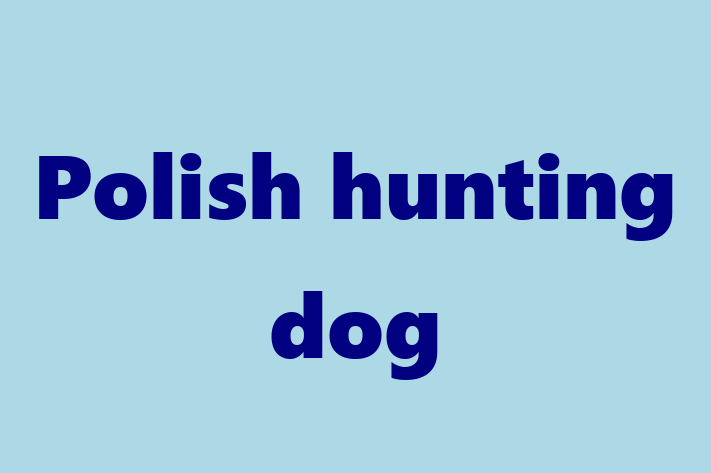 Polish hunting dog Dog in Norfolk Ready for a New Home