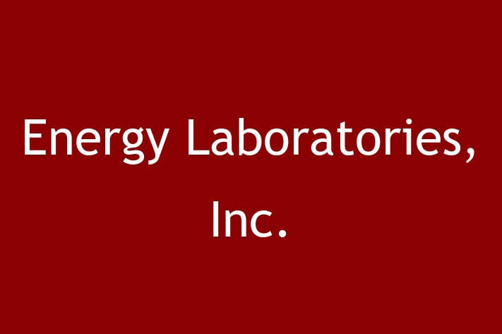 Software Services Company Energy Laboratories Inc.