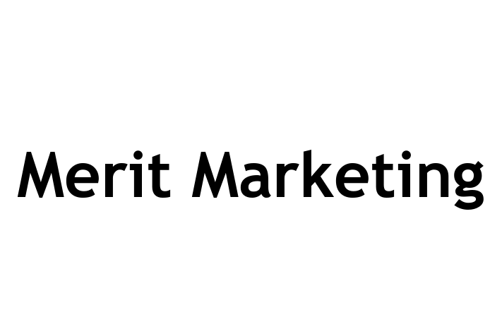 Digital Solutions Provider Merit Marketing