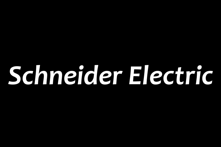 Employee Relations Schneider Electric