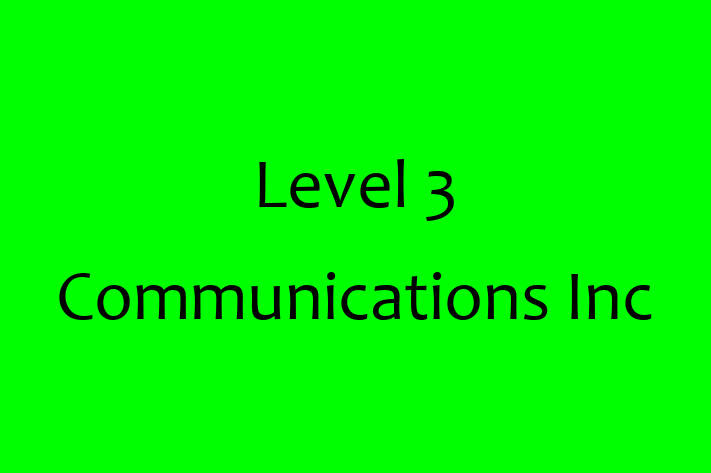 Software Solutions Provider Level 3 Communications Inc