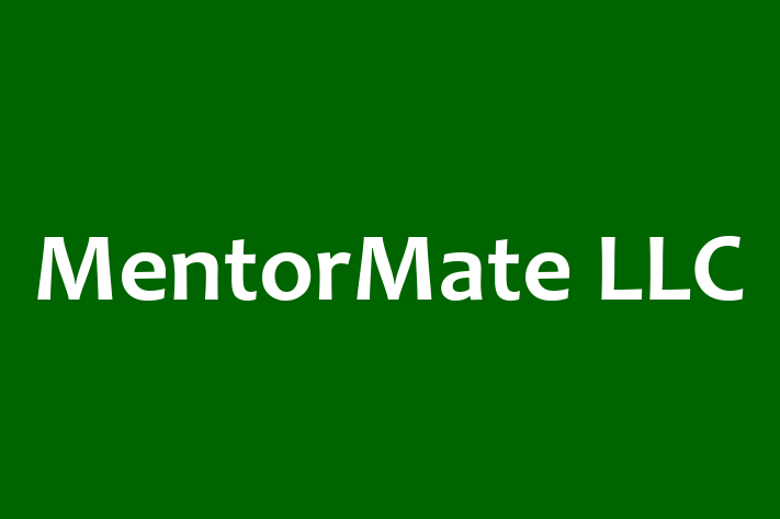 Technology Solutions Firm MentorMate LLC