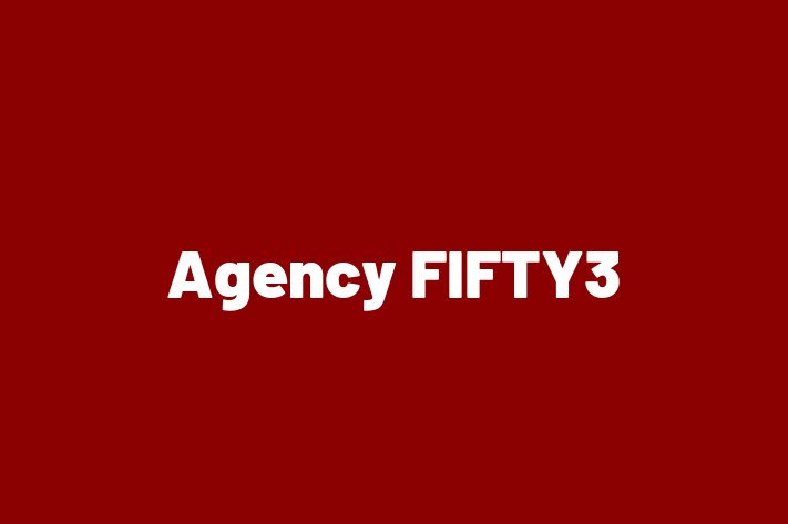 Software Development Company Agency FIFTY3