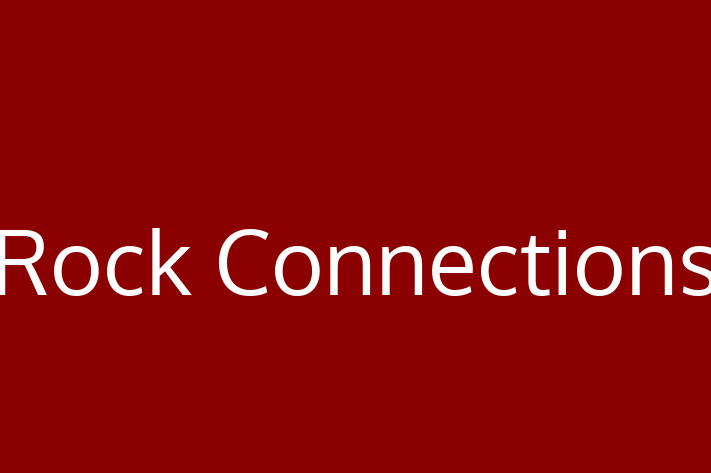 Software Firm Rock Connections