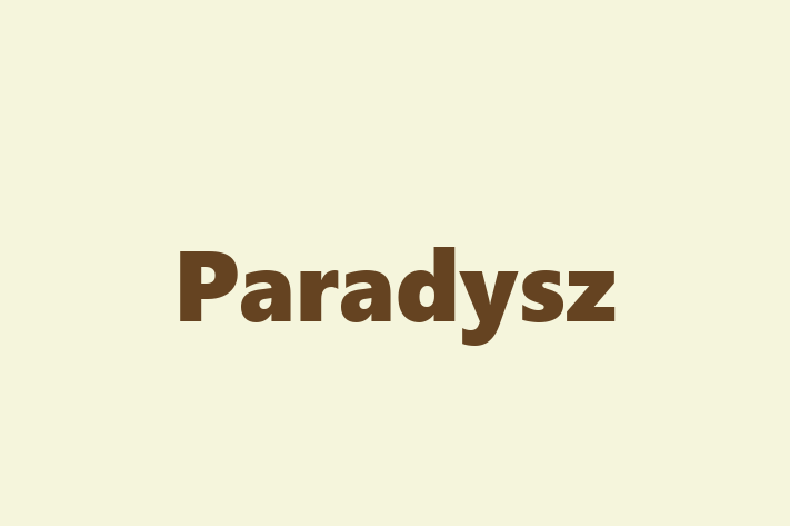 Software Services Company Paradysz