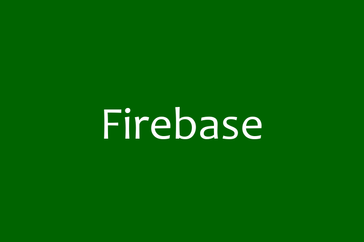 Technology Solutions Firm Firebase