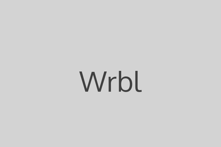 IT Company Wrbl