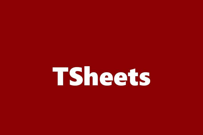 Application Development Company TSheets