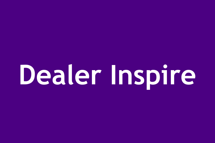 Software Development Company Dealer Inspire